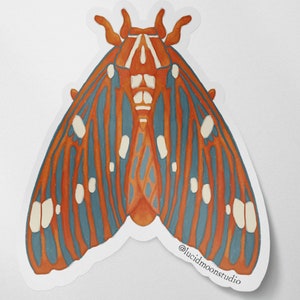 A photo of a die-cut glossy vinyl sticker featuring a hand-drawn orange, grey, and off-white Regal moth.