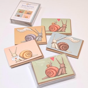 Könnte beinhalten: Ein Set von Mini-Karten mit Schneckenillustrationen. Jede Karte hat einen anderen Hintergrund und eine Schnecke mit einer Botschaft oder einem Herz. Die Karten sind in einer transparenten Kunststoffbox verpackt, mit dem Schriftzug "Boxed Mini Cards".