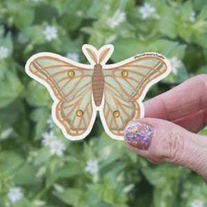 Spanish Moon Moth Matte Sticker | Moth Sticker, Nature Sticker, Water Bottle Sticker, Butterfly Sticker, Vinyl Sticker