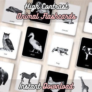 40 High-Contrast Black & White Animal Flashcards for Babies | Digital Download | Montessori-Inspired Visual Stimulation Cards