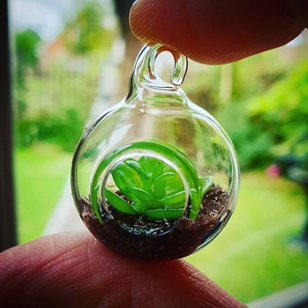 Terrarium Etsy UK