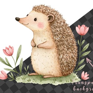 May include: A watercolor illustration of a brown hedgehog standing on its hind legs with pink flowers and green leaves behind it. The background is transparent.