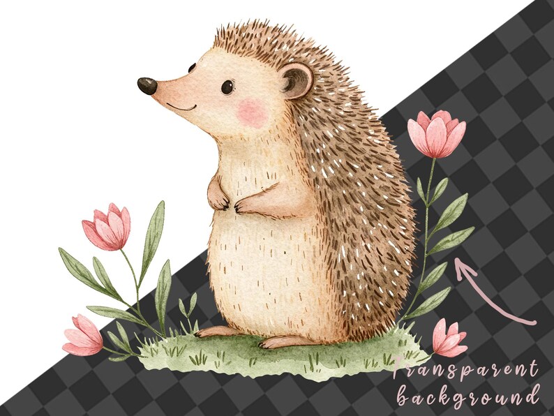 May include: A watercolor illustration of a brown hedgehog standing on its hind legs with pink flowers and green leaves behind it. The background is transparent.