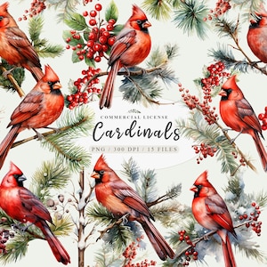 Winter-Wunderland, Kardinal png, Aquarell Kardinal, Weihnachten png, Wald Vogel Clipart, Kiefernzapfen Clipart, Holly Beeren png, Kommerziell