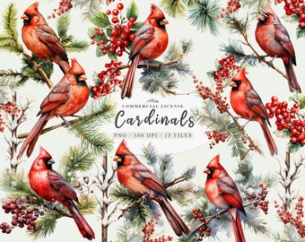 May include: Watercolor illustration of red cardinals perched on pine branches with red berries. The image is labeled "Commercial License Cardinals PNG / 300 DPI / 15 Files".