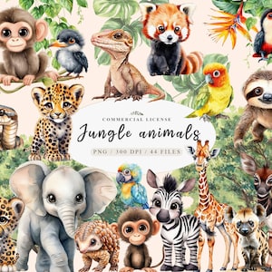 Aquarell Safari Dschungel Tiere Clipart für Kinderzimmer, wunderliche Dschungeltiere PNG Bündel, Baby Safari Kinderzimmer Dekor, niedliche Baby Tiere