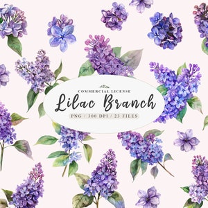 Rama de lila PNG Clipart para jardinería e invitaciones de boda, ilustraciones florales, paquete PNG de rama de lila y flores silvestres, hermosa lila