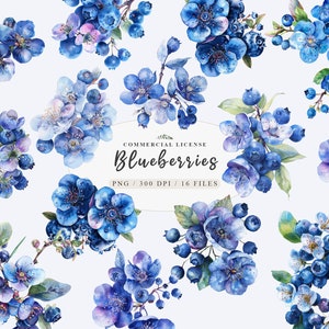 Blaubeere Clipart-Set, Blaubeer Kunstdruck Bundle, Aquarell Beeren und Blumen, Beeren PNG, Aquarell Obst Clip Art für kommerzielle Nutzung
