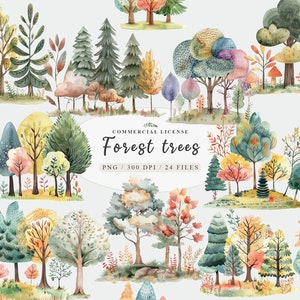 Clipart foresta magica, clipart foresta acquerello, clipart alberi di pino, clipart foresta scandinava, clipart verde, clipart foresta autunnale accogliente