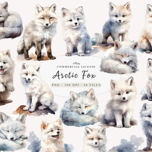 Bundle de cliparts de renard arctique de Noël nordique, clipart de Noël de la faune nordique pour les modèles d'hiver, hiver animaux arctiques renard PNG