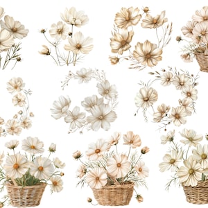 May include: A set of ten watercolor illustrations of white cosmos flowers in various arrangements. Some of the flowers are in baskets, while others are in wreaths or bouquets. The flowers are all painted in a delicate and realistic style.