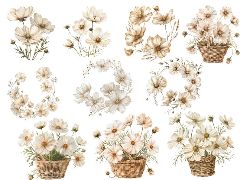 May include: A set of ten watercolor illustrations of white cosmos flowers in various arrangements. Some of the flowers are in baskets, while others are in wreaths or bouquets. The flowers are all painted in a delicate and realistic style.