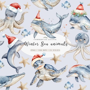 Meeresschildkröte weihnachten, Cliparts arktische Tiere, Winter Wale Cliparts, Weihnachtsbaby Meerestiere, Strand Weihnachtscliparts, Delfin Weihnachten