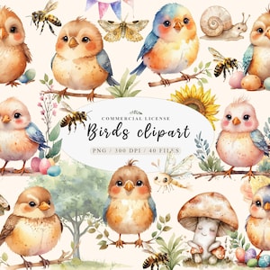 かわいい鳥のクリップアート、かわいい鳥のクリップアート、魔法の鳥の森のクリップアート、森の動物のPNG、小さな鳥のPNG、鳥の水彩画のクリップアート