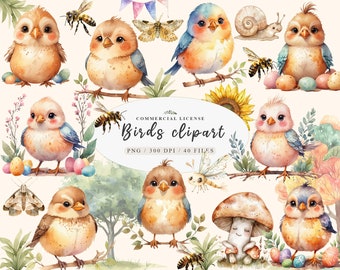 Cute Birdies clipart, Cute bird clipart, magical bird forest clipart, Forest Animal Png, Little bird png, Birds watercolor clipart