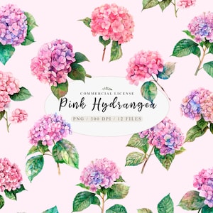 Roze hortensia clipart, aquarel plantkunde, hortensia bloem png, pastel hortensia, hortensia kunst, kawaii clipart, gratis commercieel gebruik
