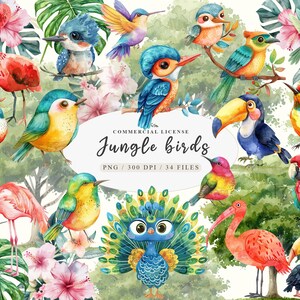 Pássaro tropical png, Pássaro da selva clipart, Tucano aquarela clipart, Pássaros exóticos clipart, pavão, flamingo, beija-flor png, Pássaros clipart