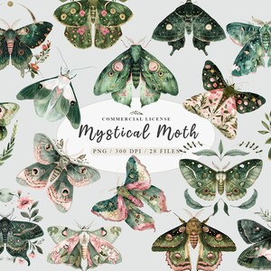 Magische Motte Clipart, Mystische Motte Clip Art, Boho Schmetterling png, Himmlische Motte Clipart, Luna Motte Clipart, Witchy Motte. Png, Frei Werbung