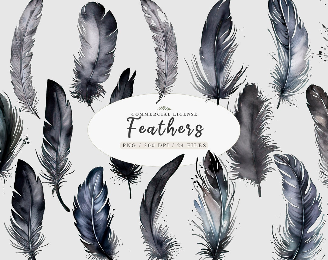 Crow Feather, Crow Art, Feather Ring, Crow Feathers, Black Feathers ...