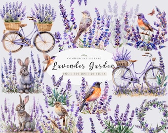 Watercolor lavender png, Provence lavender, Lavender wreath, Lavender bike, lavender bouquet  Gardening png,  Free commercial use