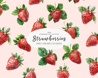 Watercolor Berry Graphics with Sweet Fruit Designs Bundle, Watercolor food strawberry clipart, Strawberry farm clipart, Free commercial use