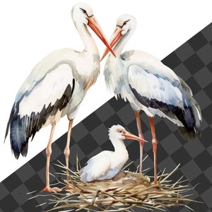 White Stork Clipart, Heron Clipart, Stork Clipart, Stork Graphics, Frog