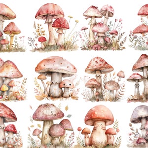 May include: Watercolor illustration of 10 different mushroom designs with various colors and patterns. Each mushroom is surrounded by green foliage and small flowers.