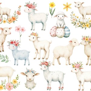 Puede incluir: Ilustraci&oacute;n acuarela de una colecci&oacute;n de corderos lindos con acentos florales. Los corderos est&aacute;n en varias poses, algunos con flores en el pelo, otros sosteniendo huevos de Pascua. El fondo es blanco con flores dispersas.