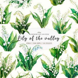 Bundle de jardinage couronne de fleurs sauvages aquarelle botanique PNG muguet, Clipart printanier de fleurs florales, verdure aquarelle png