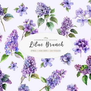 Watercolor Lilac Flowers Clipart, Lilac png, Lilac blossoms clipart, Lilac Flowers Png, Gardening clipart, Watercolor Lilac, Free commercial