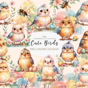 Ensemble d'art oiseau mignon, ensemble de cliparts oiseaux de la forêt enchantée, illustrations petit oiseau png, clipart oiseau oiseaux, cartes mignonnes magiques Birdies