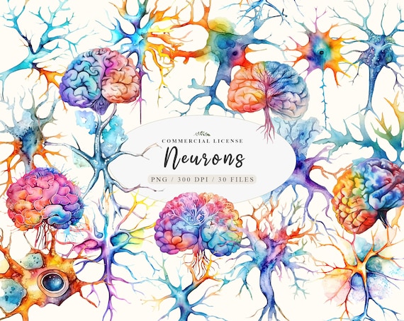 Anatomy art, Brain art, Mental health png, Neurology art,Neuroscience art,Synapse art, Biology art, Neuron art,Chemistry art Free commercial