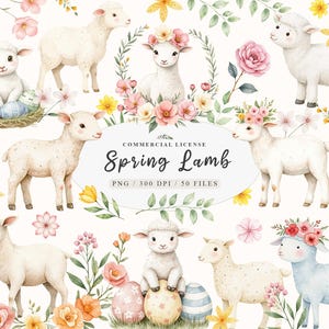Watercolor spring floral baby lamb clipart bundle, Easter cute lamb and wildflower meadow clipart, Cute Farm animals floral lamb png