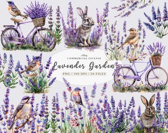 Provence lavender, Lavender bouquet, Lavender Graphics, Lavender bike, Bird clipart, Provence clipart, Lavender wreath, Free commercial use