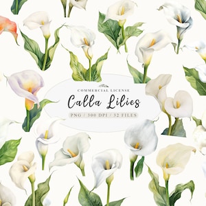 Impressões de lírios de Calla, Buquê de flores png, Buquê de flores de nascimento, Clipart de coroa de flores, Clipart de lírios de Calla, Clipart de flores brancas, Uso comercial gratuito