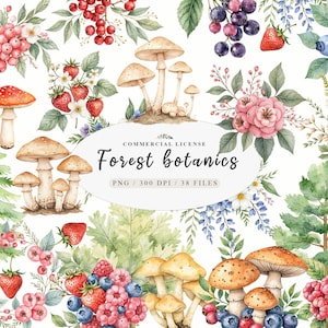 Aquarel botanisch bos wilde bloemen paddestoelen clipart, wilde bloemenweide bos png, botanische bloemenelementen png, aquarel paddestoel