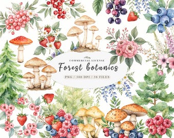 Watercolor Botanical forest wildflower mushrooms clipart, Wildflower meadow woodland png, Botanical floral elements png, Watercolor mushroom