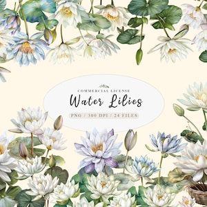Aquarel witte waterlelies boeket clipart bundel, botanische witte lotus lagere png, minimalistische waterlelie clipart, geboorte juli bloem lotusbloem