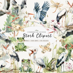 Clipart cigogne blanche, clipart héron, clipart cigogne, graphiques cigognes, clipart grenouille, clipart arbre peint, aquarelle cigogne, libellule png