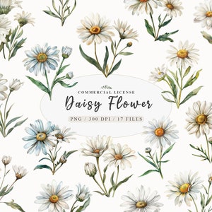 Daisy flower clipart, Watercolor Daisy clipart, Wild flower bouquet, Floral frame png, Wildflowers clipart,Daisy sticker,Free commercial use