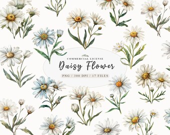 Daisy flower clipart, Watercolor Daisy clipart, Wild flower bouquet, Floral frame png, Wildflowers clipart,Daisy sticker,Free commercial use