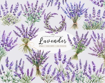 Watercolor lavender png, Provence lavender, Lavender wreath, Lavender download, Gardening png, Lavender bouquet clipart, Free commercial use