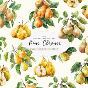 Pacchetto di acquerelli di pere, illustrazione di frutta, clipart di verde da giardinaggio, set di clipart di pere abbondanti, illustrazioni di frutta vibranti