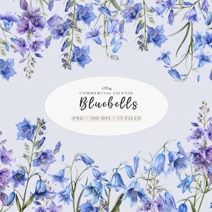 Watercolor spring bluebell flowers bouquet clipart, Wildflowers bluebell flower art, Blue spring floral clipart, Meadow blue flowers clipart