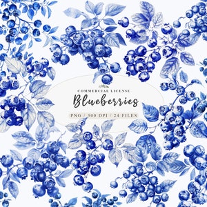 Aquarell Blaubeere Clipart, Aquarell Beere, Blaubeere png, Blaubeerzweig Clipart, Obst Beere png, Essen Clipart, kostenloser Verkauf