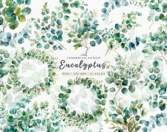 May include: A collection of 23 watercolor illustrations of eucalyptus leaves in various shades of green. The illustrations are high-resolution PNG files, perfect for digital design projects.