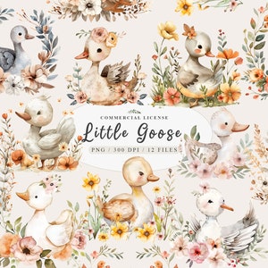 Gans Clipart, Gans Malerei, Alberne Gans Aufkleber, Baby Bauernhof Tiere, Gans Aquarell, Vogel Clipart, Gans Png, freie kommerzielle Nutzung