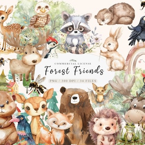 Cute forest animals clipart, Woodland animals png, Watercolor woodland clipart,Baby animals clipart, Forest animals png,Woodland baby shower