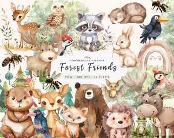 Schattige bos dieren clipart, bosdieren png, aquarel bos clipart, baby dieren clipart, bos dieren png, bos babydouche