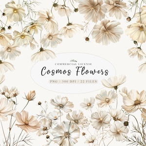 Imágenes prediseñadas de flores de cosmos blancas, flor de nacimiento de octubre, flores de cosmos png, imágenes prediseñadas de ramos de flores silvestres blancas, corona floral de boda png,